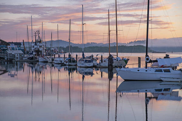 Boats Art Print featuring the photograph Boats in Pastel by Suzy Piatt