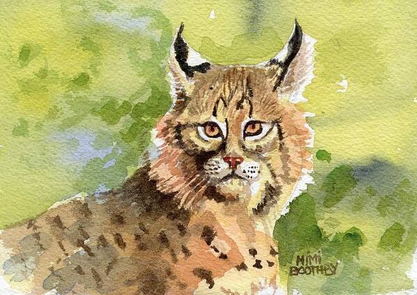 Bobcat Art Print featuring the painting Bobcat by Mimi Boothby