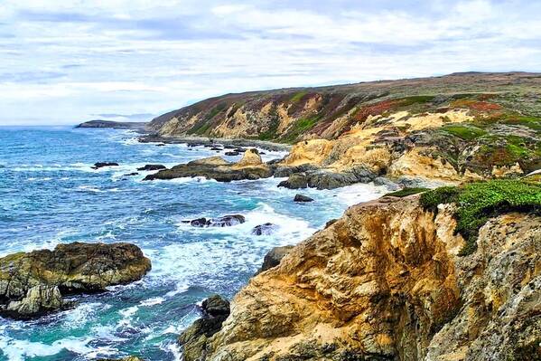 Bodega Bay Coastline Art Print featuring the photograph Bodega Bay Coastline by Kirsten Giving