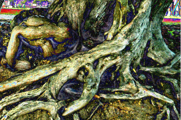 Tree_roots Trees Art Print featuring the photograph Body parts by Tom Kelly