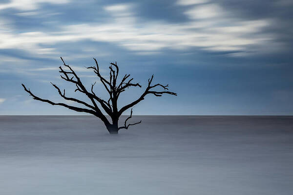 Boneyard Art Print featuring the photograph Boneyard #2a by C Renee Martin