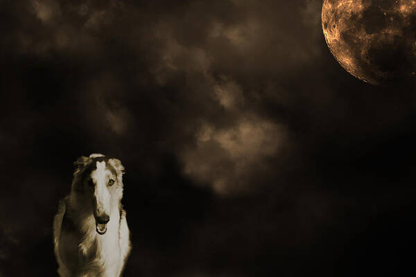Borzoi Art Print featuring the photograph Borzoi wolf hound and full moon by Christian Lagereek