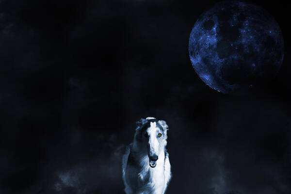 Borzoi Art Print featuring the photograph Borzoi wolf-hound, hunting under a full moon by Christian Lagereek