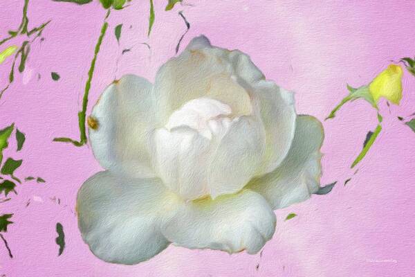 Rose Art Print featuring the photograph Bo's a Ten by Diane Lindon Coy