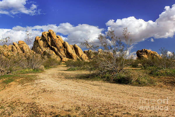 Landscape Art Print featuring the photograph Boulders At Apple Valley by James Eddy