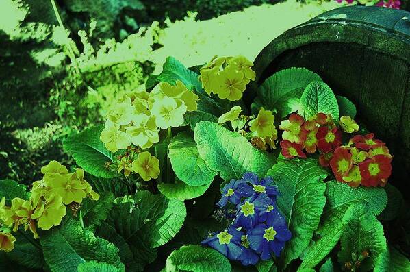 Flowers Art Print featuring the photograph Bouquet by HweeYen Ong