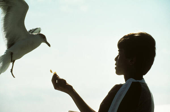 Bird Art Print featuring the photograph Boy Feeds Seagull by Carl Purcell