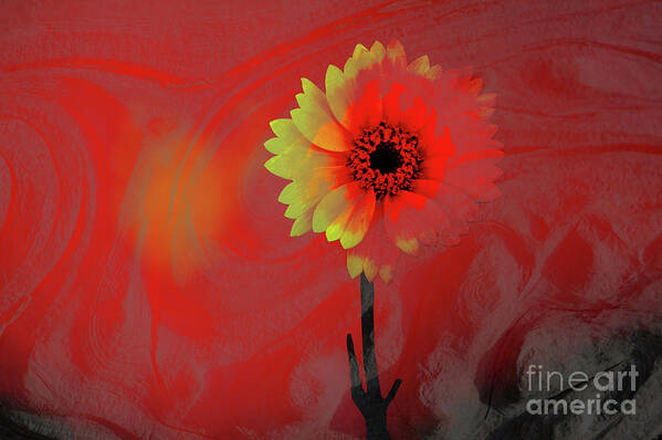 Flower Art Print featuring the photograph Brave New World by Ronald Hoggard