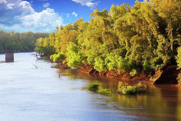 Nature Art Print featuring the photograph Brazos River by Judy Wright Lott