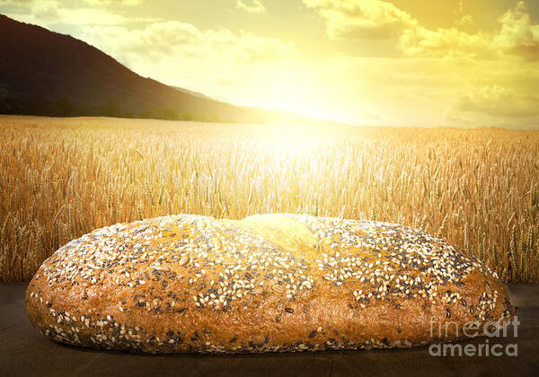Agriculture Art Print featuring the photograph Bread and wheat cereal crops at sunset by Deyan Georgiev