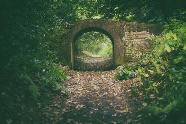 Arch Art Print featuring the photograph Bridge in the woods by James Billings