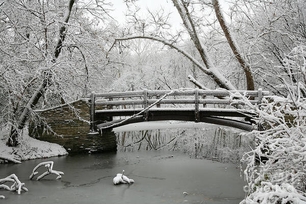 Bridge Art Print featuring the photograph Bridge in Winter by Timothy Johnson