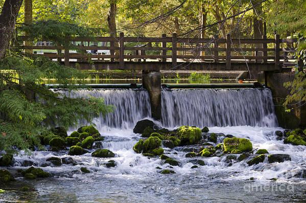 Maramec Springs Art Print featuring the photograph Bridge Over Stream by Andrea Silies