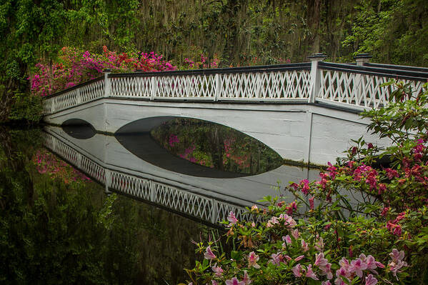 Bridge Art Print featuring the photograph Bridge Reflections by James Woody