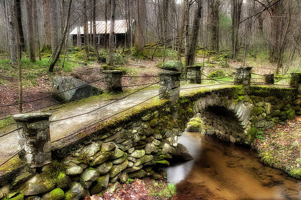 Water Art Print featuring the photograph Bridge Through The Woods by Mike Eingle