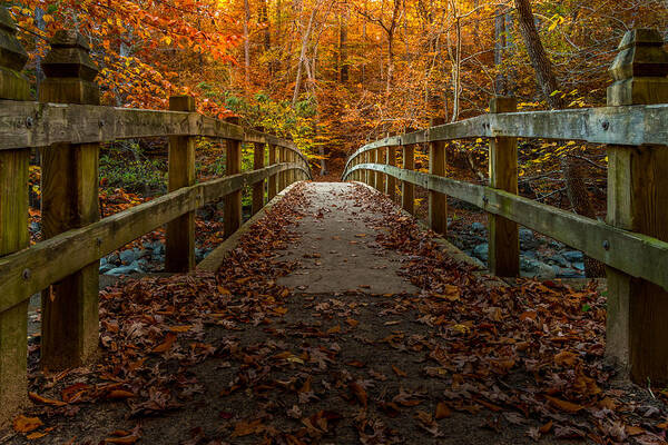 Autumn Art Print featuring the photograph Bridge to Enlightenment 2 by Ed Clark