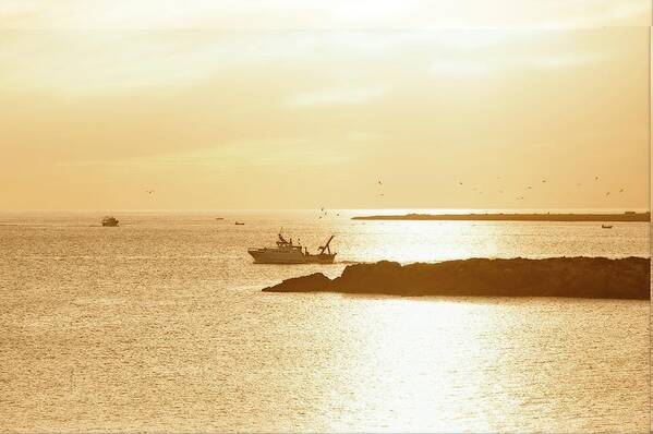 Landscape Art Print featuring the photograph Bringing The Days Catch by Allan Van Gasbeck