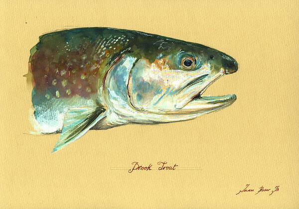 Brook Trout Art Print featuring the painting Brook trout watercolor by Juan Bosco