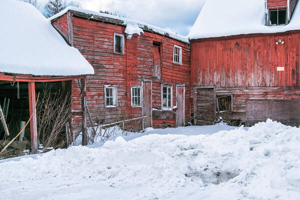 Williamsville Vermont Art Print featuring the photograph Brookline Barns by Tom Singleton