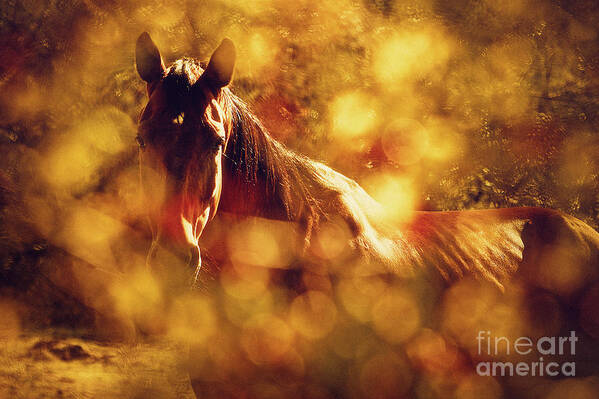 Horse Art Print featuring the photograph Brown Horse Portrait In Summer Day by Dimitar Hristov
