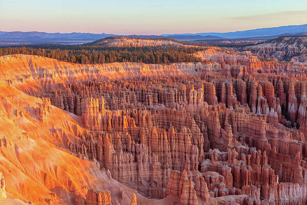 Bryce Canyon National Park Art Print featuring the photograph Bryce Amphitheater by Jonathan Nguyen
