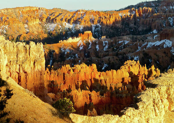 Bryce Canyon Art Print featuring the photograph Bryce Canyon Hoodoos evening by Amelia Racca
