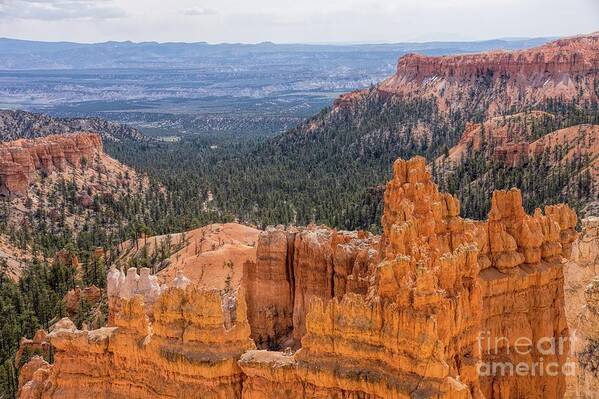 Bryce Art Print featuring the photograph Bryce Canyon in Spring by Peggy Hughes