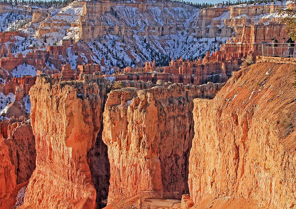 Bryce Canyon Art Print featuring the photograph Bryce Canyon National Park by Jack Schultz