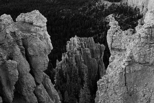 Bryce Art Print featuring the photograph Bryce Canyon NP I BW by David Gordon