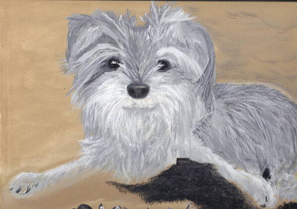 Dog Art Print featuring the painting Buddy by Debbie Levene
