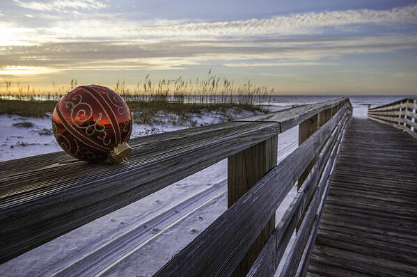 Alabama Art Print featuring the photograph Bulb on the Rail by Michael Thomas