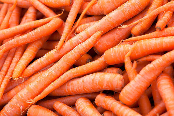 Carrot Art Print featuring the photograph Bunch of Carrots by Todd Klassy