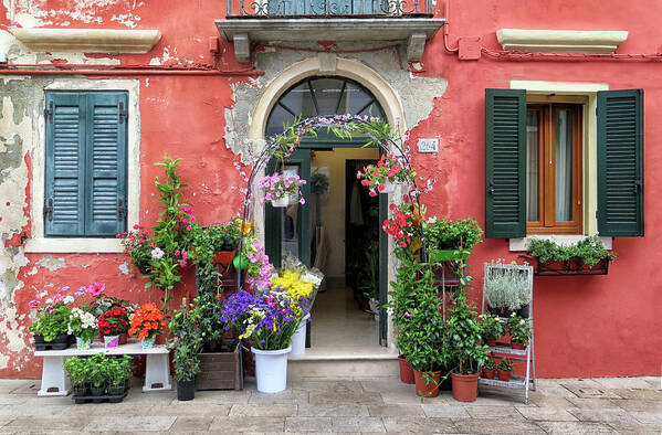 Burano Art Print featuring the photograph Burano Flower Shop by Dave Mills
