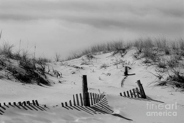 Cape Henlopen Art Print featuring the photograph Buried Fences Black and White Coastal Landscape Photo by PIPA Fine Art - Simply Solid