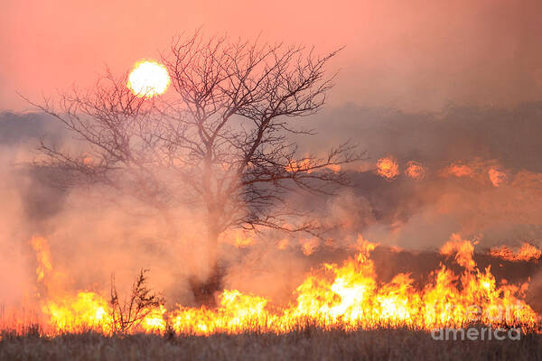 Burning Fields Art Print featuring the photograph Burning Fields by Lynn Sprowl
