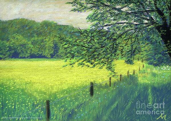 Buttercups Art Print featuring the pastel Buttercups in Field by Edward McNaught-Davis