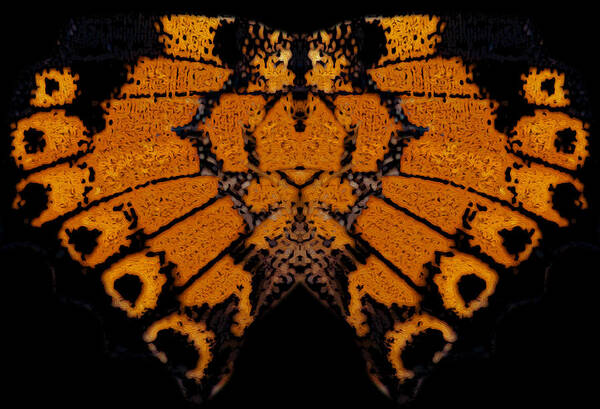 Butterfly Art Print featuring the photograph Butterfly Abstract by Jeff Phillippi