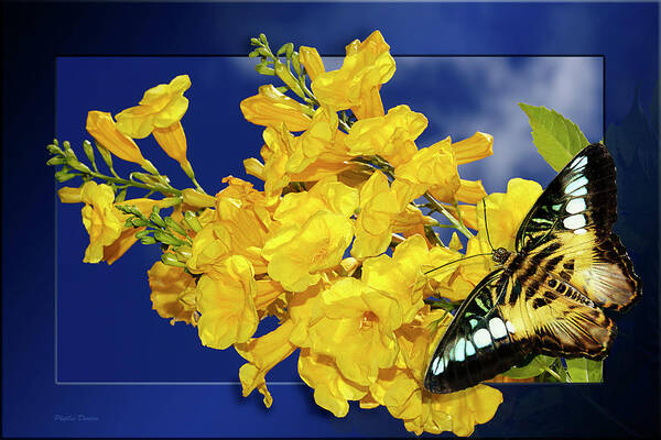 Flowers Art Print featuring the photograph Butterfly And Yellow Bells by Phyllis Denton