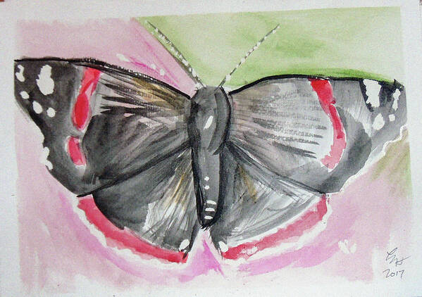  Art Print featuring the drawing Butterfly by Loretta Nash