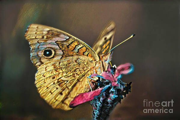 Butterfly Art Print featuring the photograph Butterfly on a Flower by Wernher Krutein
