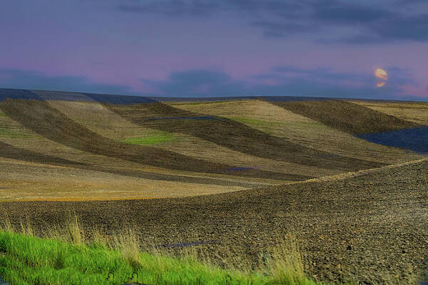 Palouse Art Print featuring the photograph By a different light by Patricia Dennis