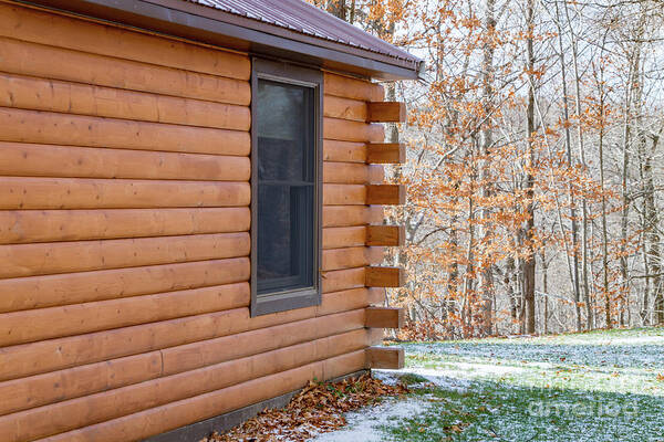 Rental Art Print featuring the photograph Cabin Exterior 37 by William Norton