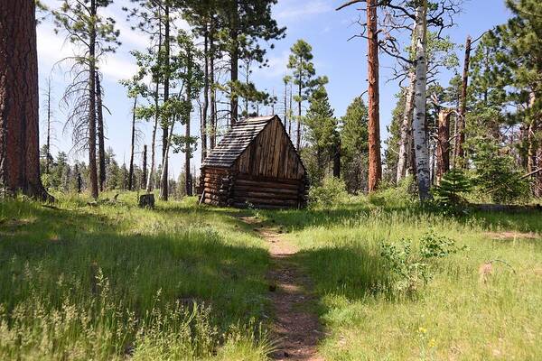 Photograph Art Print featuring the photograph Cabin in the Woods by Richard Gehlbach