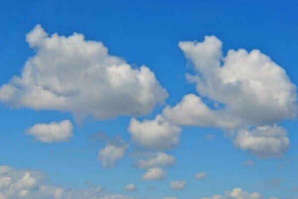 Sky Art Print featuring the photograph Calgary's Sky by Evelina Popilian