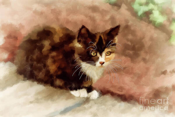 Kitten Art Print featuring the digital art Calico Kitten by Lois Bryan