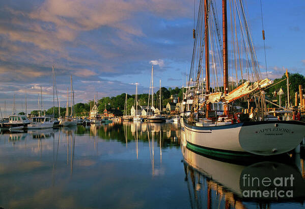 Harbor Art Print featuring the photograph Camden Harbor at dawn by Kevin Shields