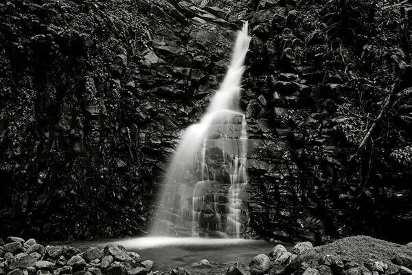 Waterfall Art Print featuring the photograph Canaries Waterfall -2- St Lucia by Chester Williams