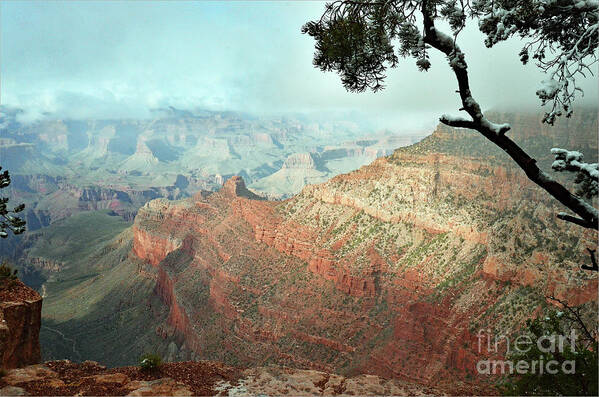 Grand Canyon Art Print featuring the photograph Canyon Captivation by Debby Pueschel