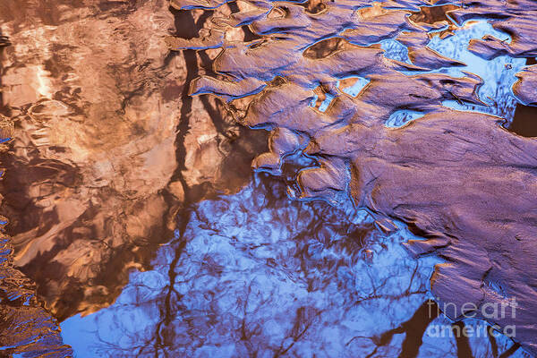 Southwest Art Print featuring the photograph Canyon Reflections by Anthony Michael Bonafede