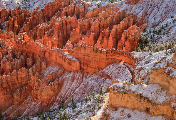 Canyon Art Print featuring the photograph Canyon Trail by John Roach